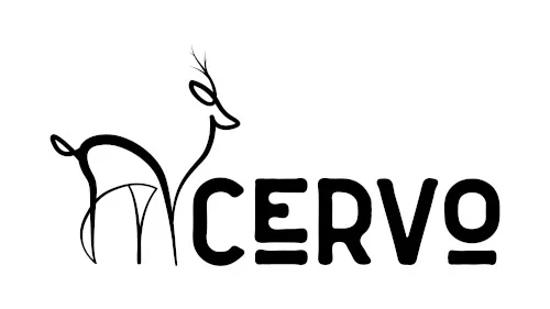 CERVO TEKSTİL SAN VE TİC LTD ŞTİ