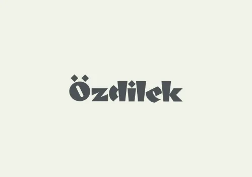 ÖZDİLEK EV TEKSTİL SANAYİ VE TİCARET A.Ş.